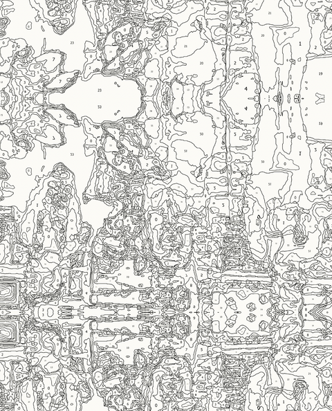 Paint By Number Print