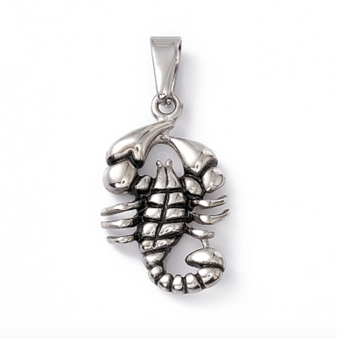 Scorpion Silver Charm