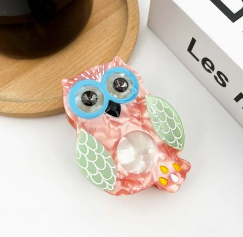 Colorful Owl Claw Clip -Options