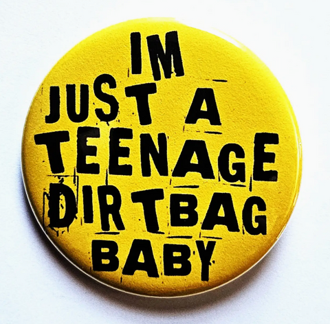 Vintage Reproduction Miscellaneous Button Pin