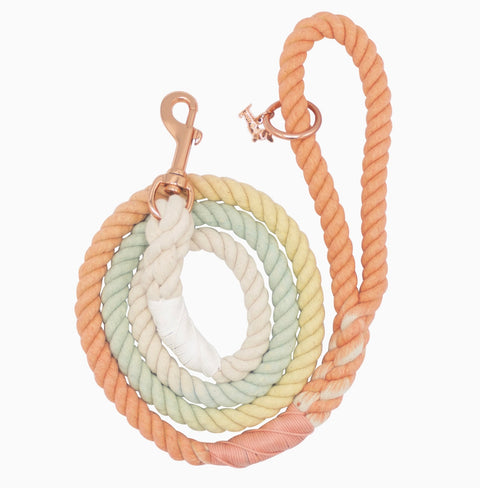 Sassy Woof Dog Rope Leash - Honeydew