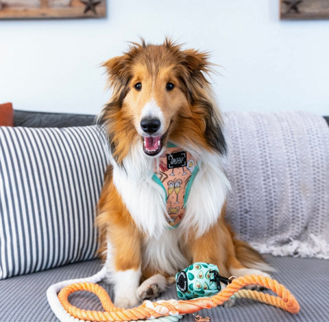 Sassy Woof Dog Rope Leash - Honeydew