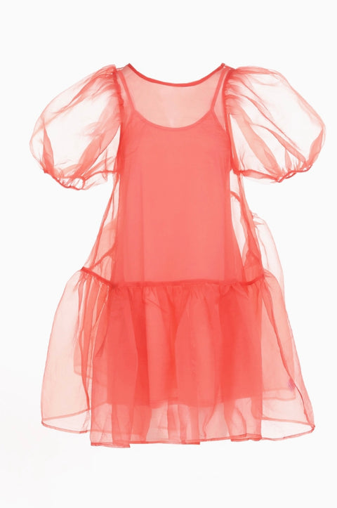 Fine Organza Mini Dress with Inner Slip