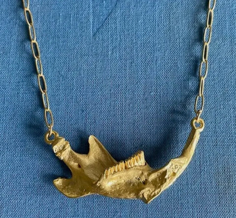 Slightly Creepy Jaw Bone Necklace