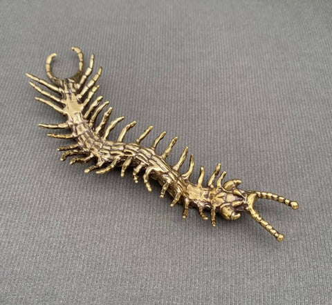 Brass Centipede Desktop Ornament
