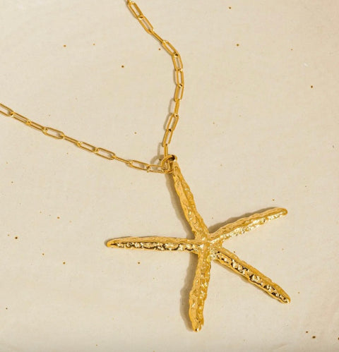 Suki Gold Statement Star Necklace