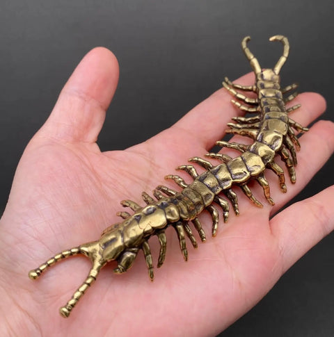 Centipede Desktop Ornament