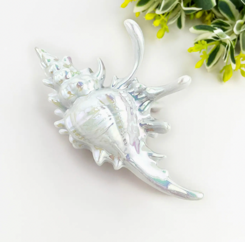 Seashell Claw Clip