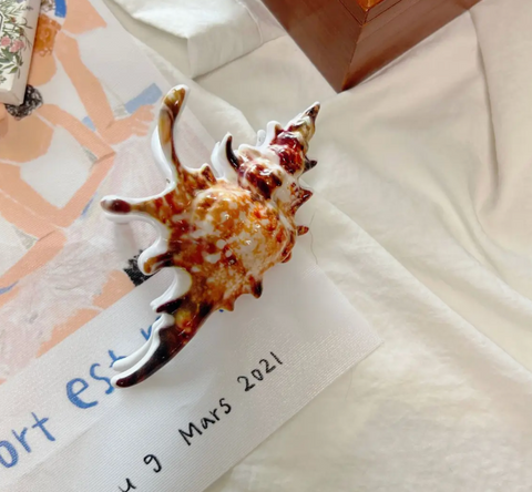 Conch Shell Hair Claw