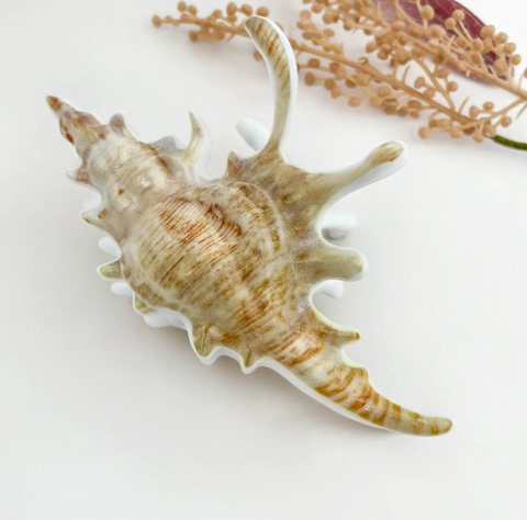 Seashell Claw Clip
