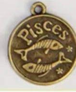 Zodiac Animal Coin Charms