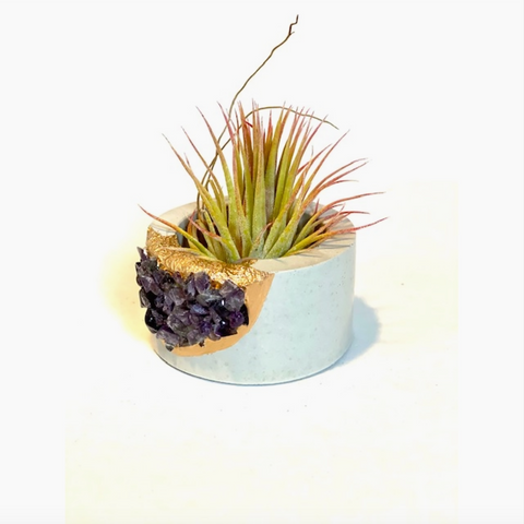Plant on Me Round Crystal Concrete Planter - raw amethyst