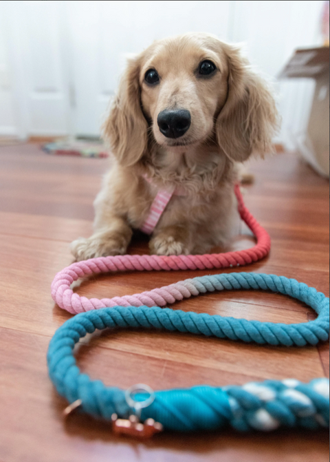 Sassy Woof Dog Rope Leash - Jack & Jill