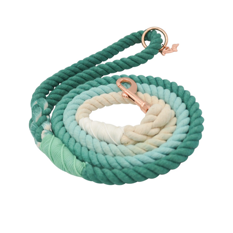 Sassy Woof Dog Rope Leash - Ombre Teal