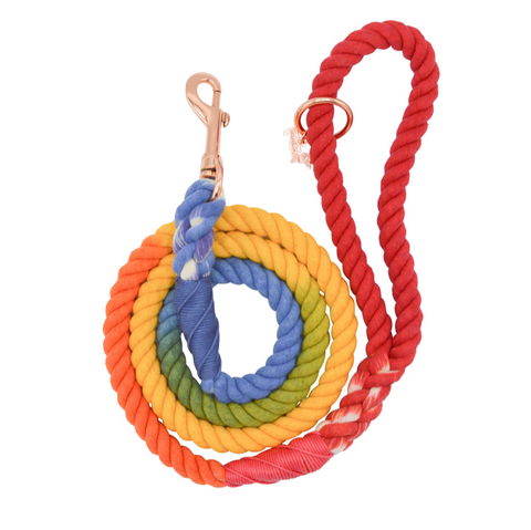 Sassy Woof Dog Rope Leash - Taste the Rainbow