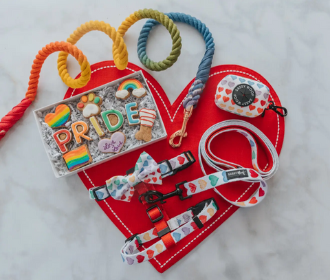 Sassy Woof Dog Rope Leash - Taste the Rainbow