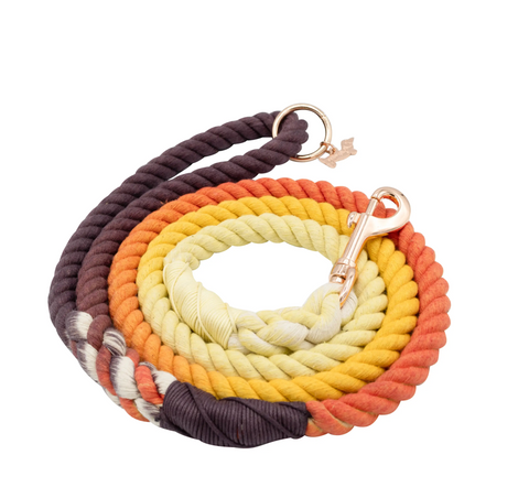 Sassy Woof Dog Rope Leash - Vintage
