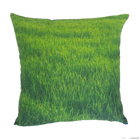 Blank Canvas Grass and Sky pillow - 18" X 18"