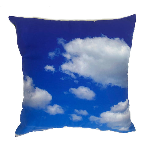 Blank Canvas Grass and Sky pillow - 18" X 18"