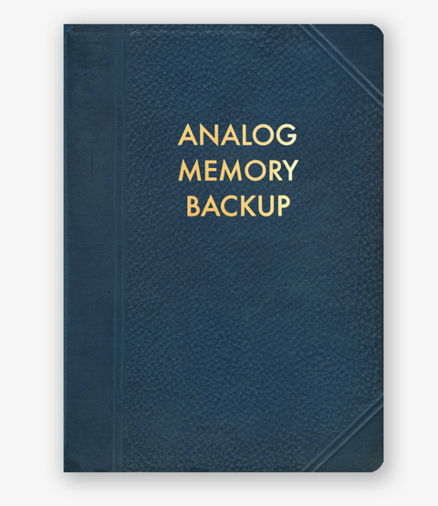 Mincing Mockingbird Analog Memory Backup Journal