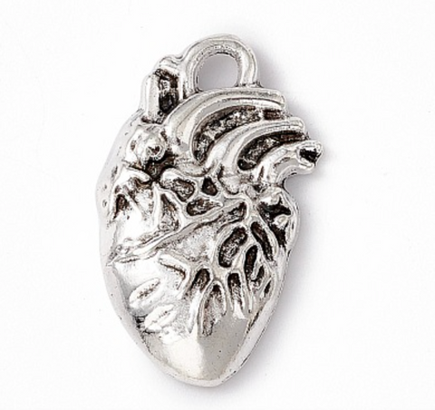 Anytomical Heart Silver Charm