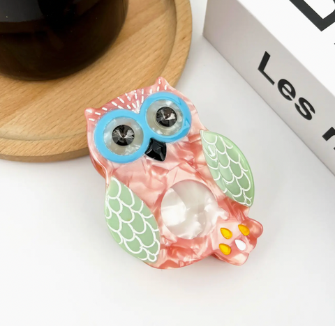 Colorful Owl Claw Clip