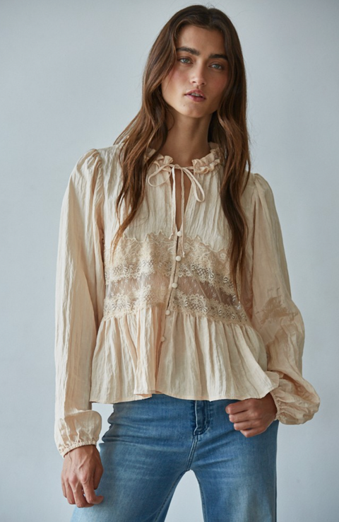 Sheer Lace Detail Blouse