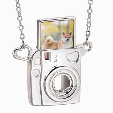 Poloroid Camera Lockett- options