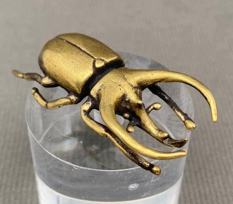 Brass Rhinoceros Beetle Desktop Ornament