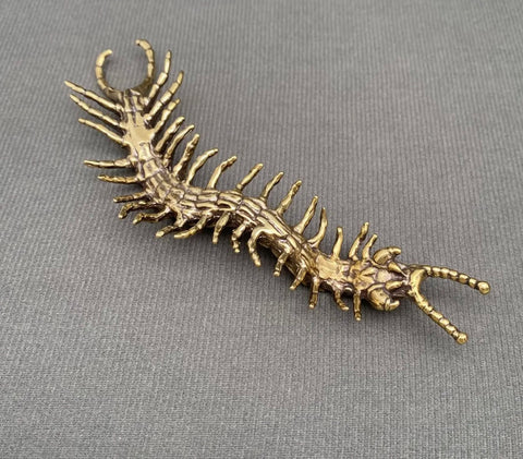 Centipede Desktop Ornament