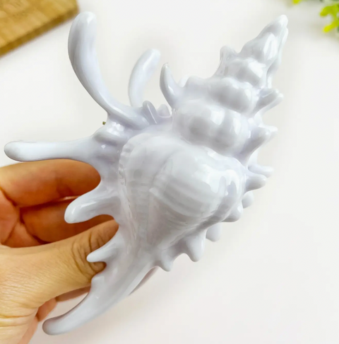 Seashell Claw Clip