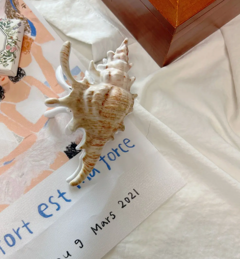 Conch Shell Hair Claw