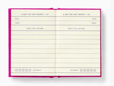Brass Monkey Tiny Diary For Not So Tiny Secrets