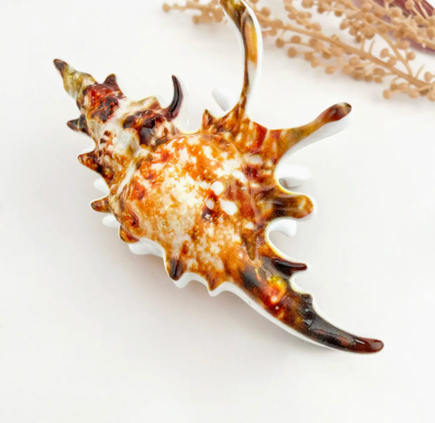 Seashell Claw Clip