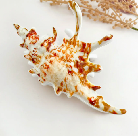 Seashell Claw Clip