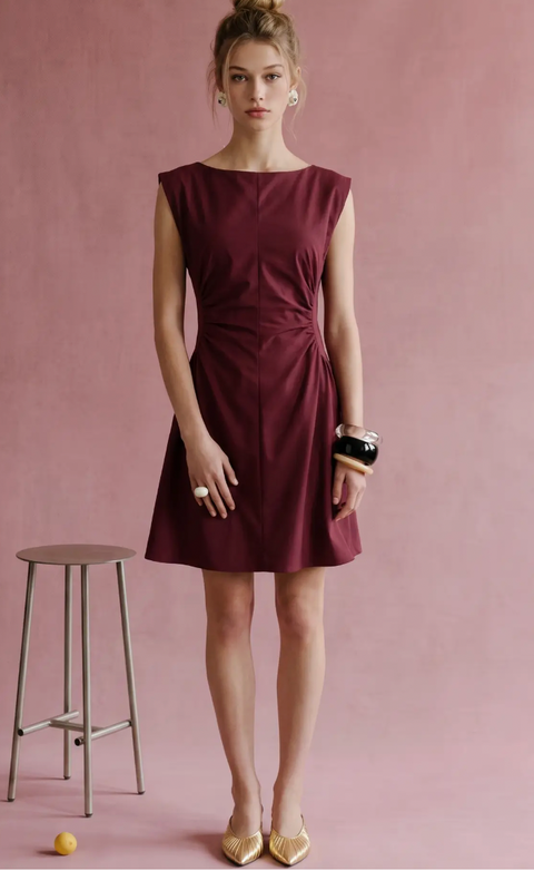 Side Panel Ruched Mini Dress