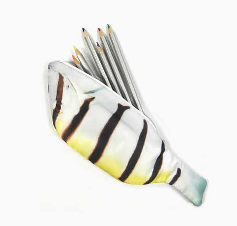 Fish Pencil Case