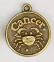 Zodiac Animal Coin Charms