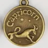 Zodiac Animal Coin Charms