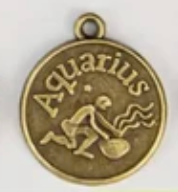 Zodiac Animal Coin Charms