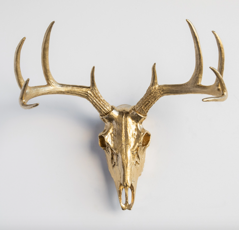 Near and Deer - Faux Whitetail Deer Skull // Gold