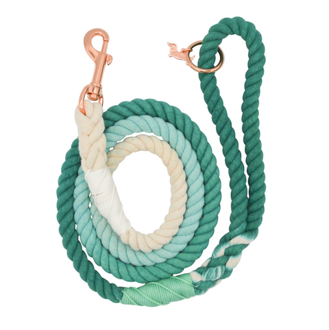 Sassy Woof Dog Rope Leash - Ombre Teal