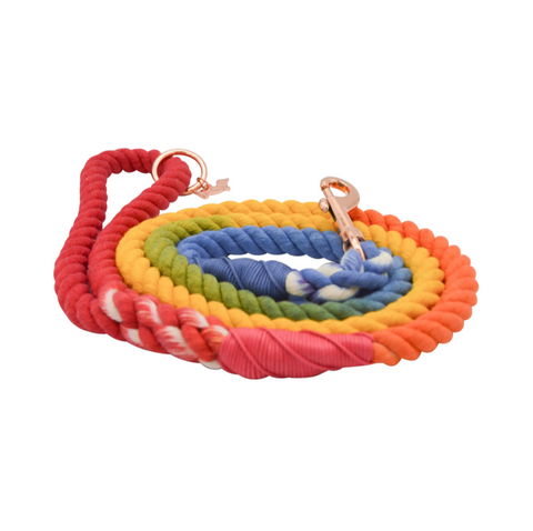 Sassy Woof Dog Rope Leash - Taste the Rainbow